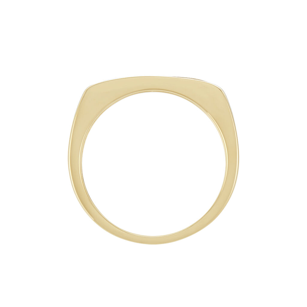 Chevaliere Plaqu&eacute; Or Gregh Email - Chevali&egrave;res Homme | Histoire d&rsquo;Or