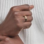 Chevali&egrave;re Plaqu&eacute; Or Jaune Alfonso - Chevali&egrave;res Homme | Histoire d&rsquo;Or