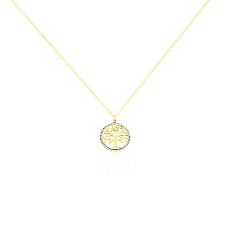 Collier Or Bicolore Solidage - Colliers Femme | Histoire d’Or