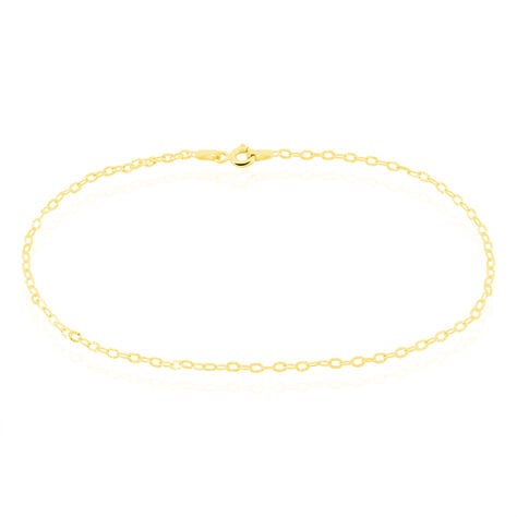 Cha&icirc;ne De Cheville Maille Solon Or Jaune - Cha&icirc;nes de cheville Femme | Histoire d&rsquo;Or
