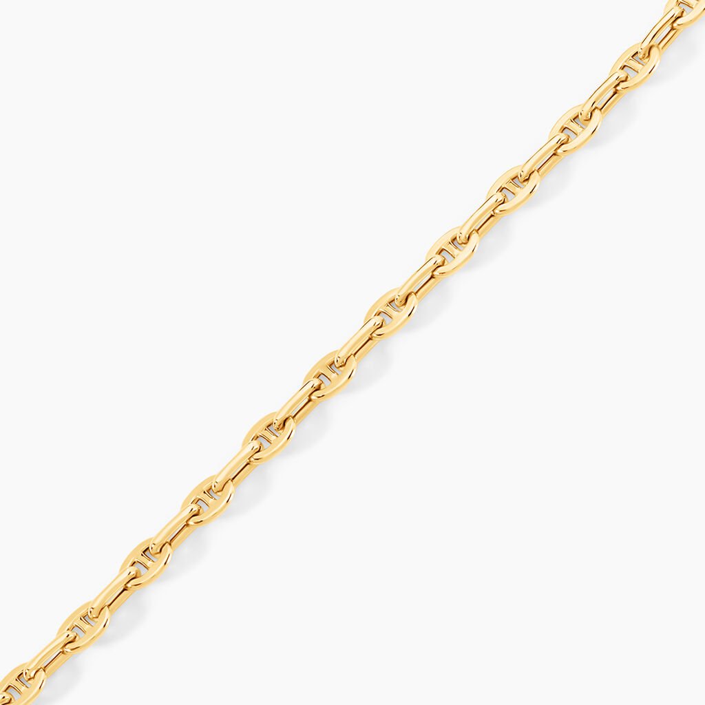 Bracelet Wynter Or Jaune - Bracelets chaîne Homme | Histoire d’Or