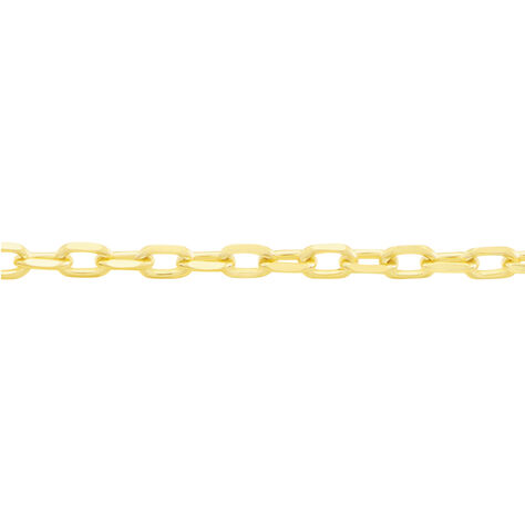 Chaîne Or Jaune Igoa - Chaines Femme | Histoire d’Or