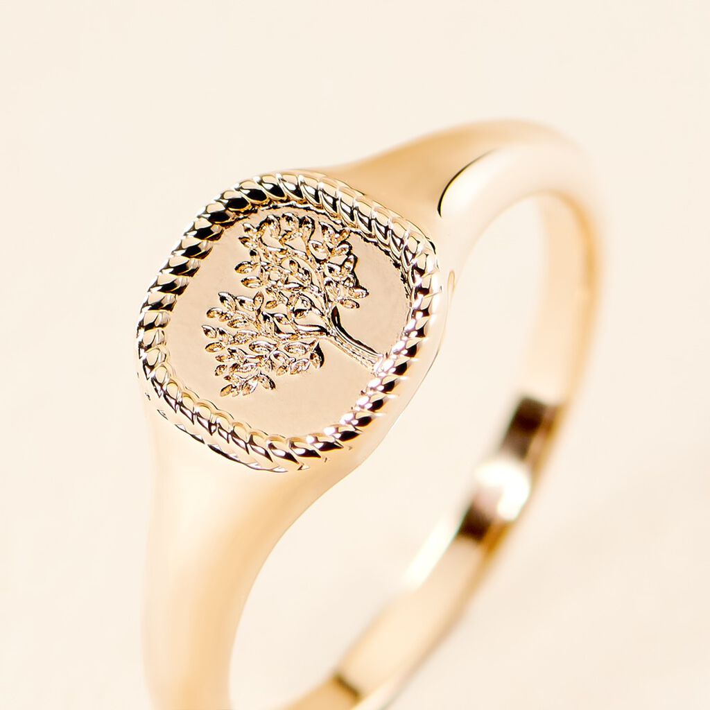 Chevali&egrave;re Aviv Plaqu&eacute; Or Jaune - Chevali&egrave;res Femme | Histoire d&rsquo;Or