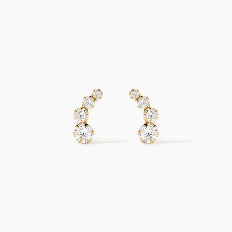 Boucles D'oreilles Puces Or Jaune Albizia Oxydes De Zirconium - Clous d'oreilles Femme | Histoire d&rsquo;Or