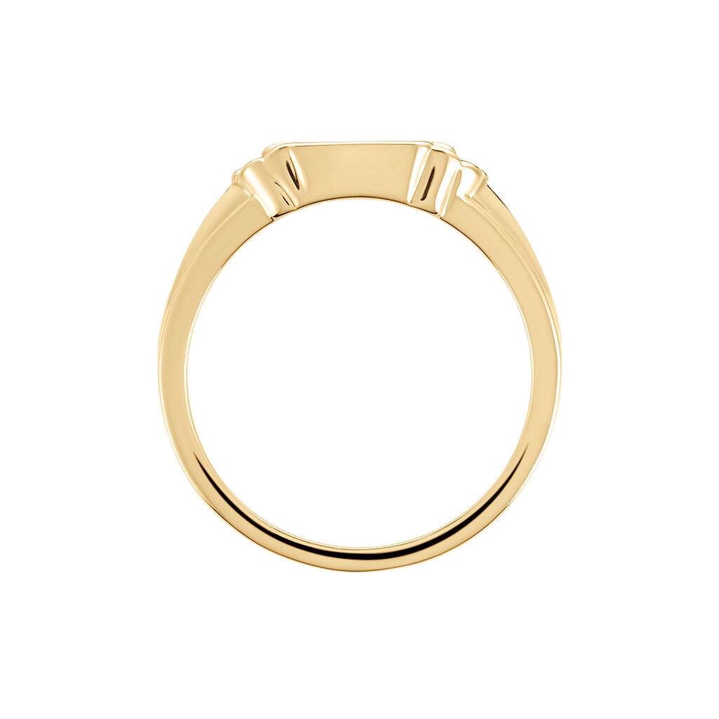 Chevali&egrave;re Darian Plaqu&eacute; Or Jaune - Chevali&egrave;res Femme | Histoire d&rsquo;Or