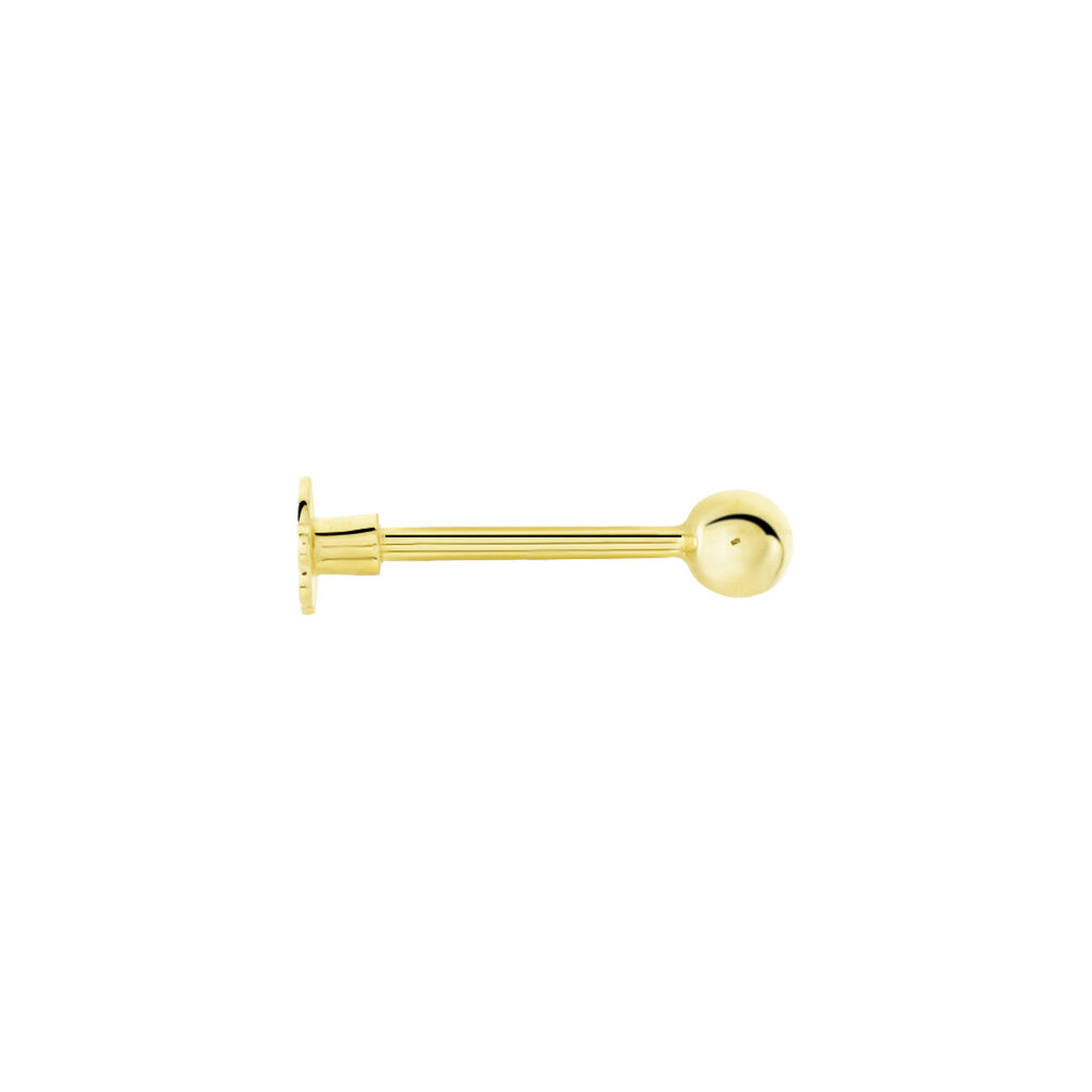 Piercing D'oreille Or Jaune Agava - Bijoux Femme | Histoire d’Or