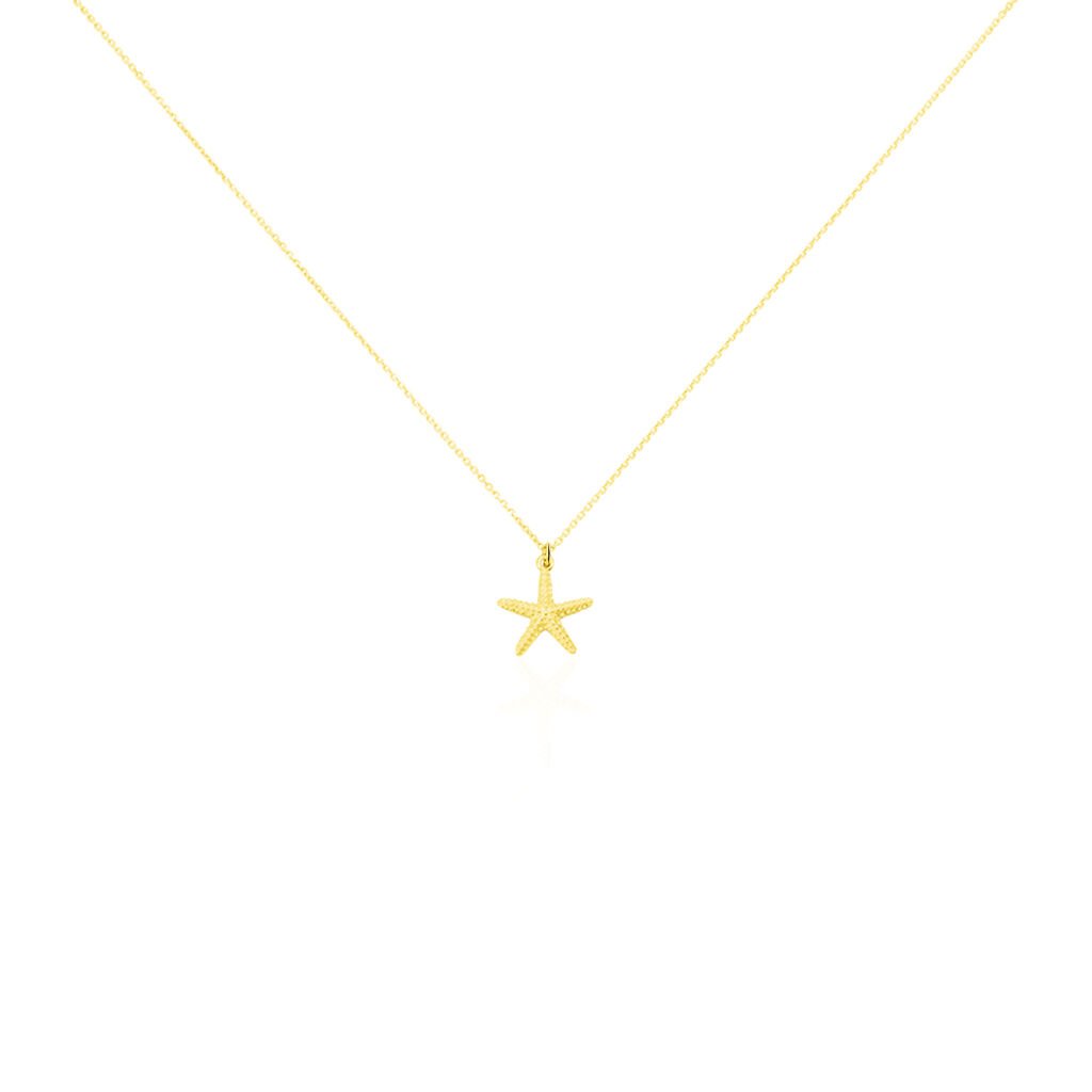 Collier Or Jaune Aenor Motif Etoile De Mer - Colliers Femme | Histoire d’Or