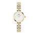 Montre Daniel Wellington Elan Lumine Blanc - Montres Femme | Histoire d’Or