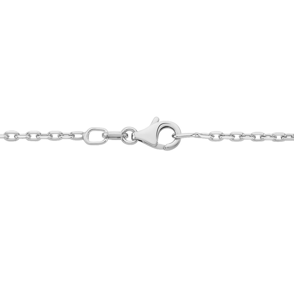 Cha&icirc;ne Claudine Maille For&ccedil;at Argent Blanc - Chaines Famille | Histoire d&rsquo;Or