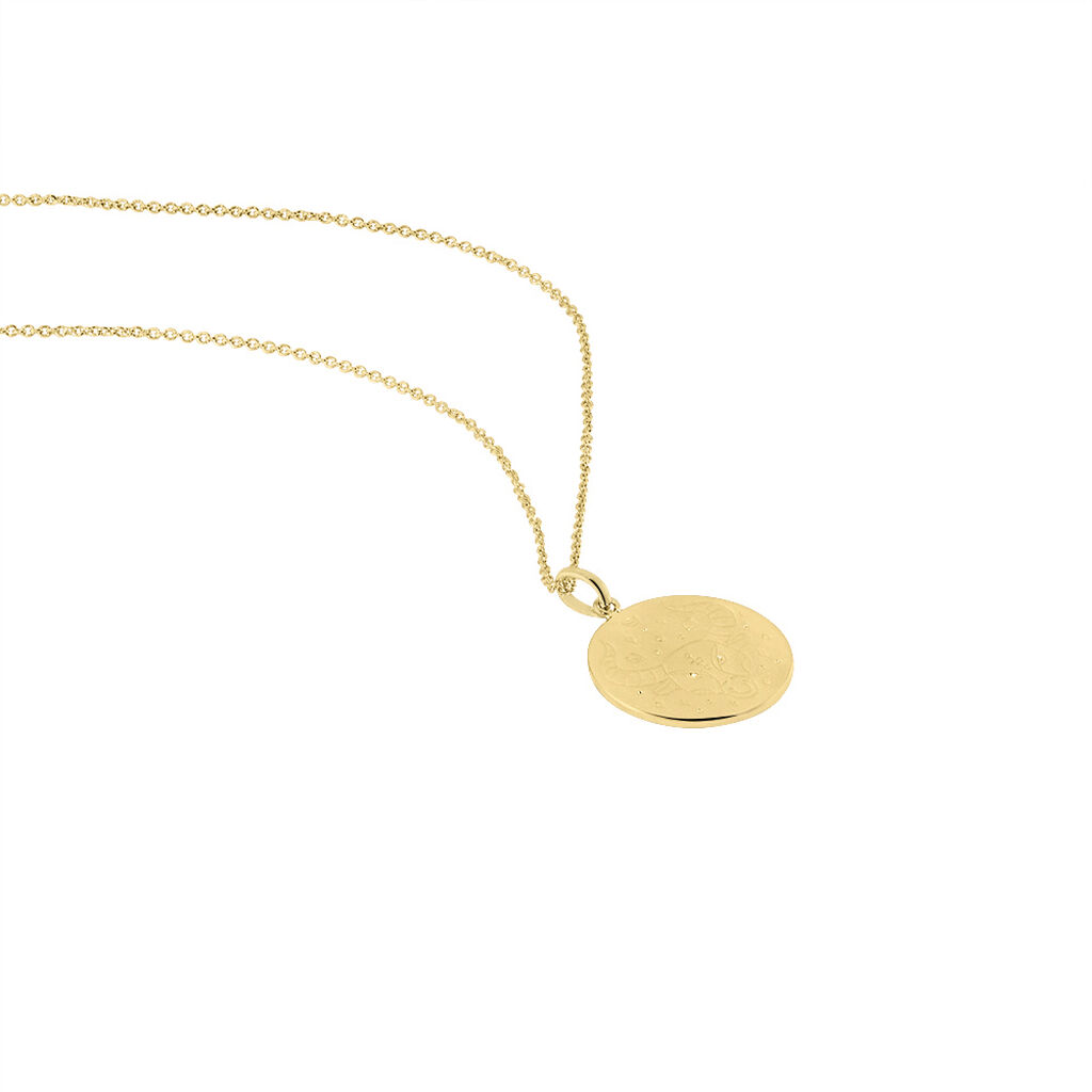 Collier Astro Plaqué Or - Colliers Femme | Histoire d’Or