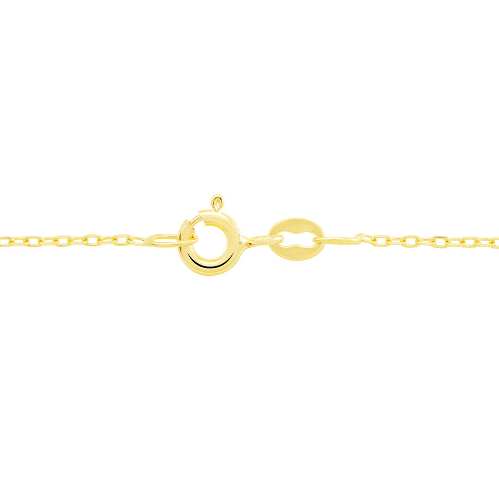 Chaîne Or Jaune Igoa - Chaines Femme | Histoire d’Or