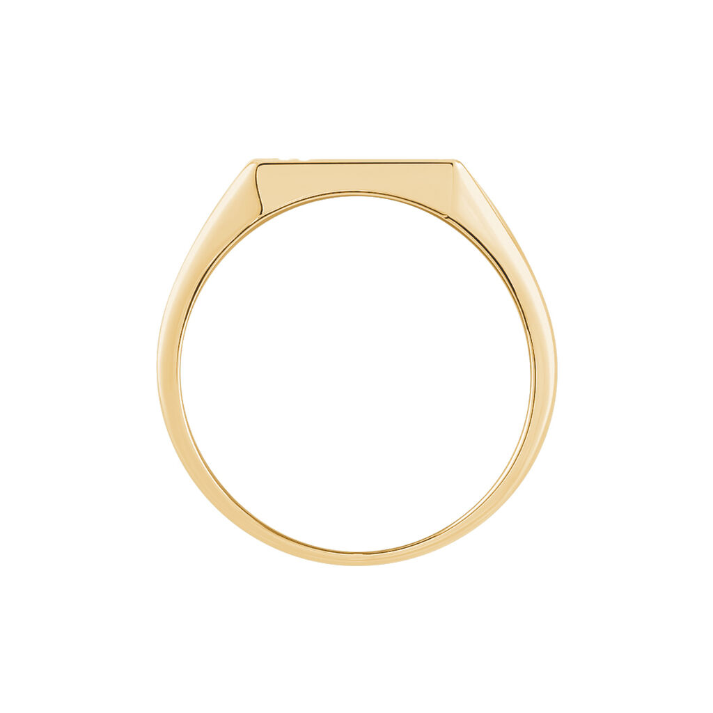 Chevali&egrave;re Cillian Plaqu&eacute; Or Jaune - Chevali&egrave;res Homme | Histoire d&rsquo;Or