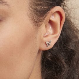 Boucles D'oreilles Puces Papillon Or Blanc Diamant - Clous d'oreilles Femme | Histoire d’Or