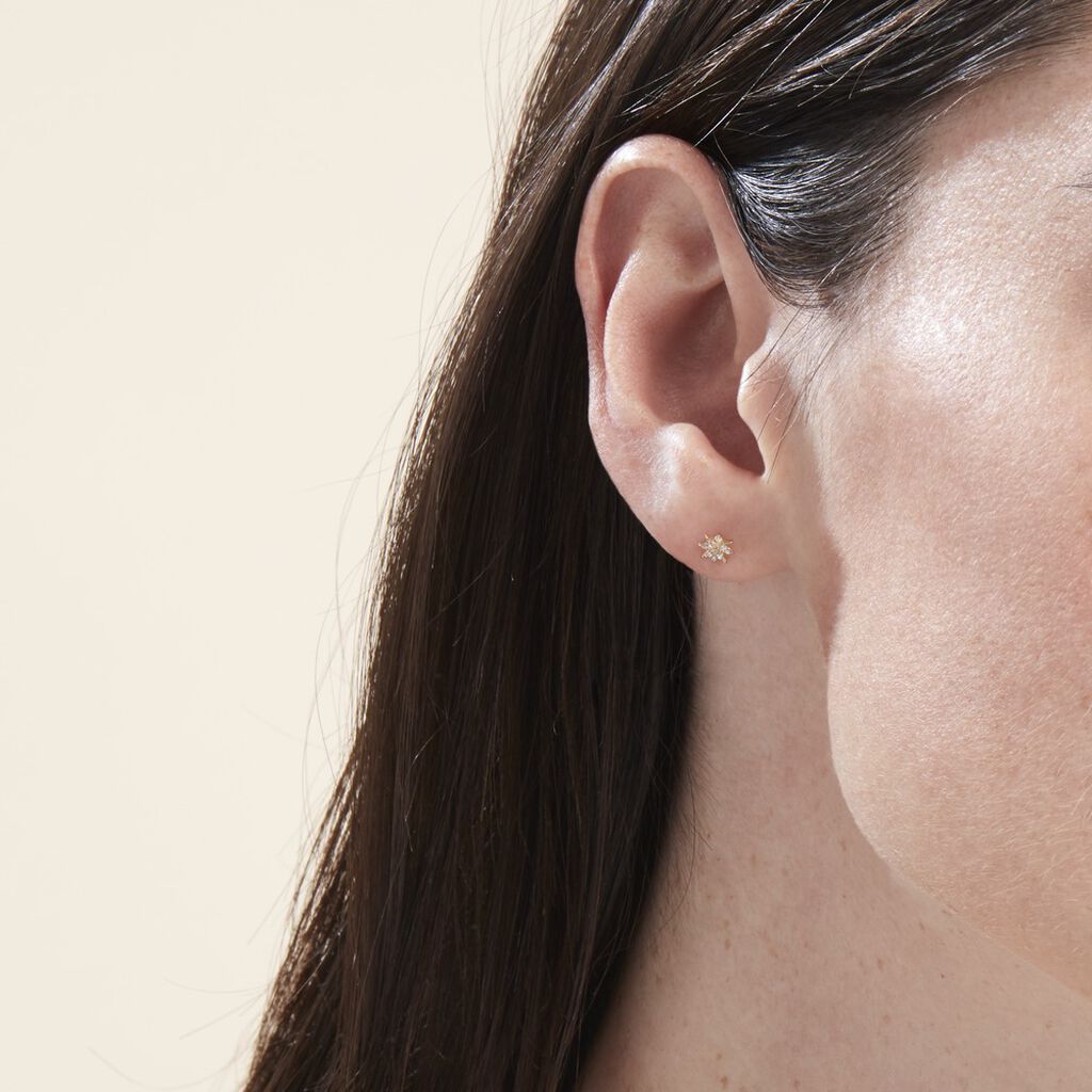 Boucles D'oreilles Puces Aubepine Or Jaune Oxyde - Clous d'oreilles Femme | Histoire d’Or