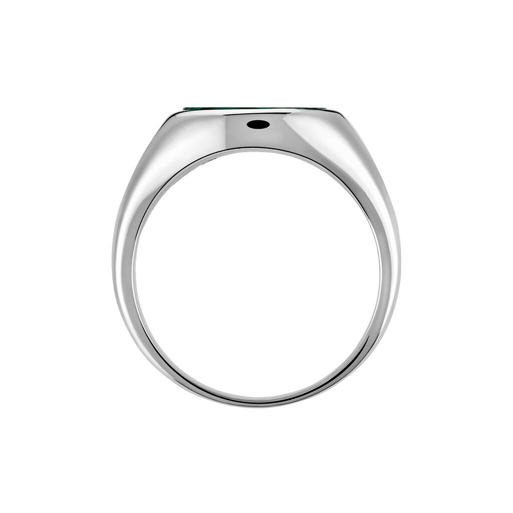 Chevalière Argent Blanc Aileas Malachite - Bagues solitaires Homme | Histoire d’Or