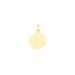 Pendentif Vierge Rond Dentelle Or Jaune - Pendentifs Baptême Famille | Histoire d’Or