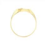 Chevali&egrave;re Glynn Or Jaune Onyx Diamant - Bagues solitaires Homme | Histoire d&rsquo;Or