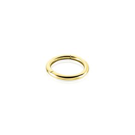 Piercing D'oreille Or Jaune Aloes - Bijoux Femme | Histoire d’Or