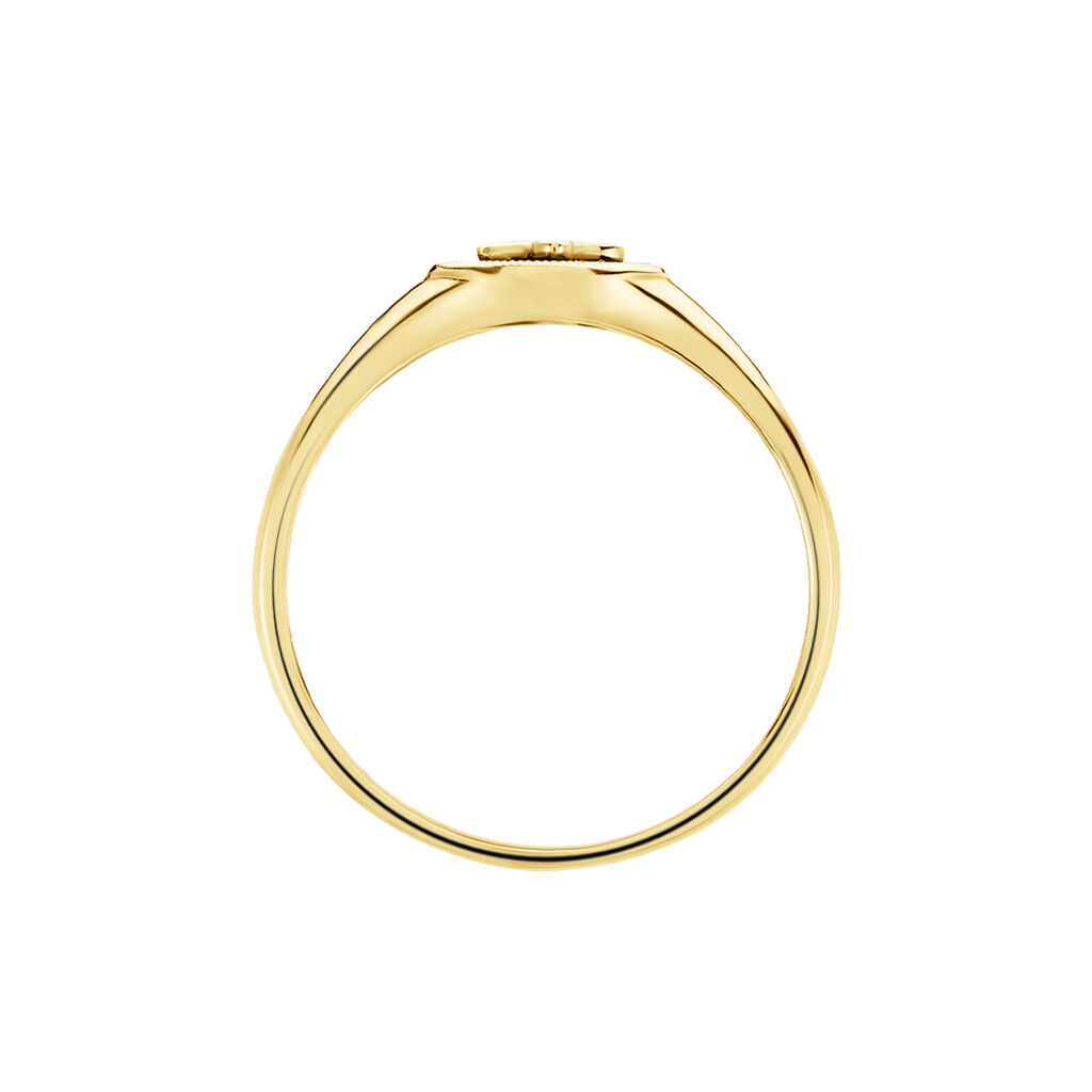 Bague Talisman Or Jaune Nacre Diamant - Bagues solitaires Femme | Histoire d&rsquo;Or