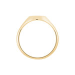 Chevali&egrave;re Gregoire Plaqu&eacute; Or Jaune - Chevali&egrave;res Famille | Histoire d&rsquo;Or