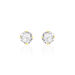Boucles D'oreilles Puces Eddie Or Jaune Oxyde De Zirconium - Clous d'oreilles Femme | Histoire d’Or