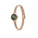 Montre Daniel Wellington Petite Mini Vert - Montres Femme | Histoire d’Or