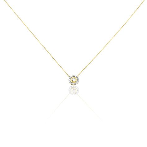 Collier Rosangela Or Bicolore Diamant Blanc - Colliers Femme | Histoire d’Or
