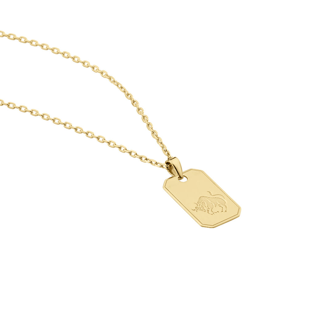 Collier Plaqué Or Quintien - Colliers Zodiaque Homme | Histoire d’Or