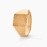 Chevali&egrave;re Daniel Plaqu&eacute; Or Jaune - Chevali&egrave;res Homme | Histoire d&rsquo;Or