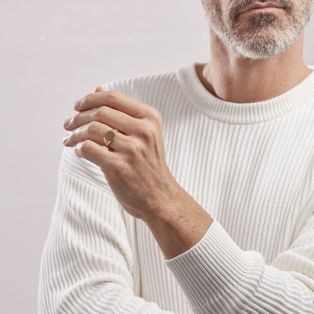Chevali&egrave;re Leons Plaqu&eacute; Or - Chevali&egrave;res Homme | Histoire d&rsquo;Or