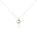 Collier Or Tricolore Vanadissa Diamants - Colliers Femme | Histoire d’Or