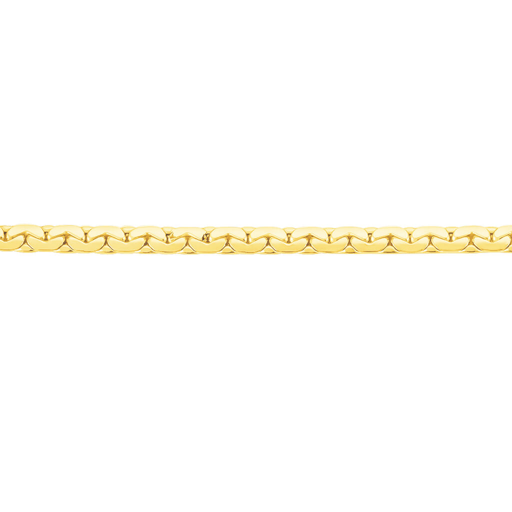 Bracelet Ivy Maille Haricot Or Jaune - Bracelets cha&icirc;ne Femme | Histoire d&rsquo;Or