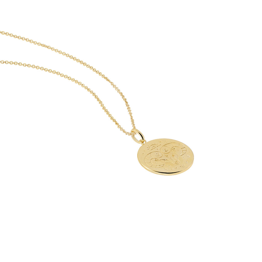 Collier Astro Plaqué Or - Colliers Zodiaque Femme | Histoire d’Or