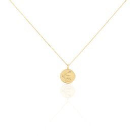 Collier Iago Plaqué Or Oxydes De Zirconium - Colliers Femme | Histoire d’Or