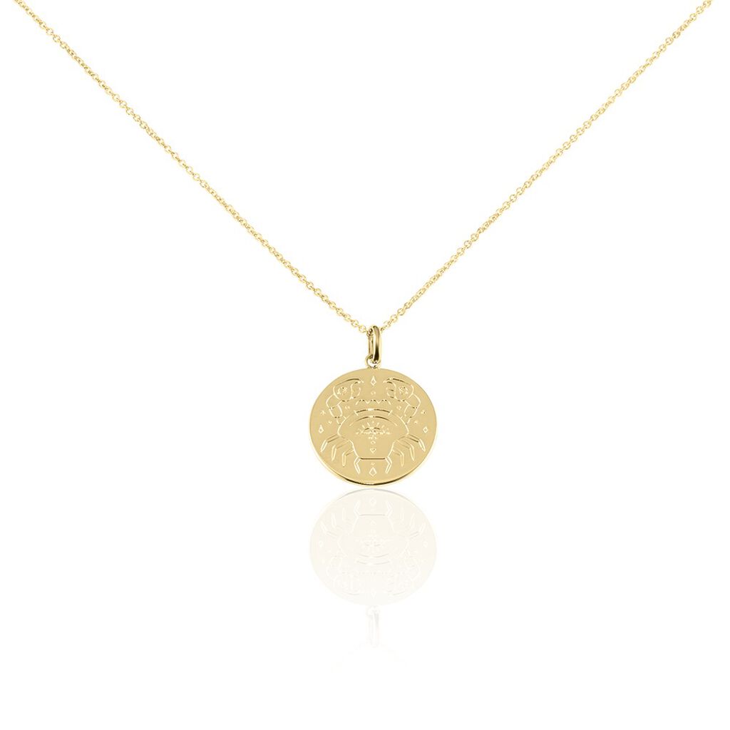 Collier Astro Plaqué Or - Colliers Zodiaque Femme | Histoire d’Or