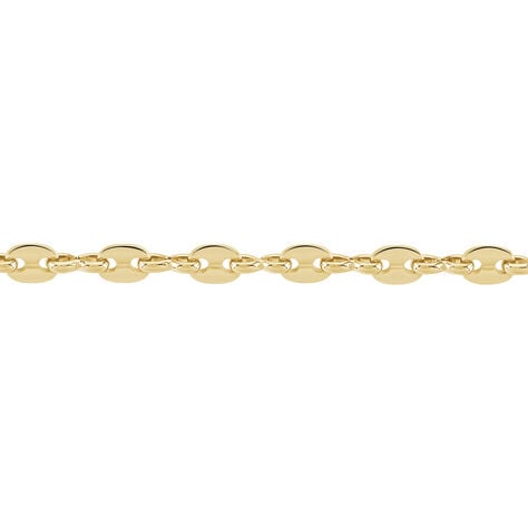 Collier William Plaqué Or Jaune - Chaines Femme | Histoire d’Or