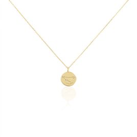 Collier Iago Plaqué Or Oxydes De Zirconium - Colliers Femme | Histoire d’Or