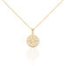 Collier Maria-carmen Plaqué Or Jaune Oxyde De Zirconium - Colliers Etoile Femme | Histoire d’Or