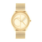 Montre Calvin Klein Iconic Mesh Champagne - Montres Femme | Histoire d&rsquo;Or