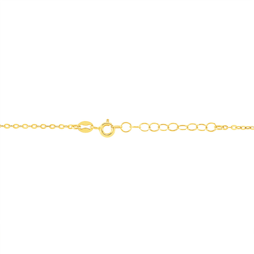 Collier Blinda Or Jaune - Colliers Femme | Histoire d’Or