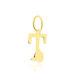 Pendentif Helidie Coccinelle Lettre Or Jaune - Pendentifs Enfant | Histoire d’Or