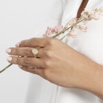 Chevali&egrave;re Gwennen Plaqu&eacute; Or Oxyde De Zirconium - Bagues solitaires Femme | Histoire d&rsquo;Or