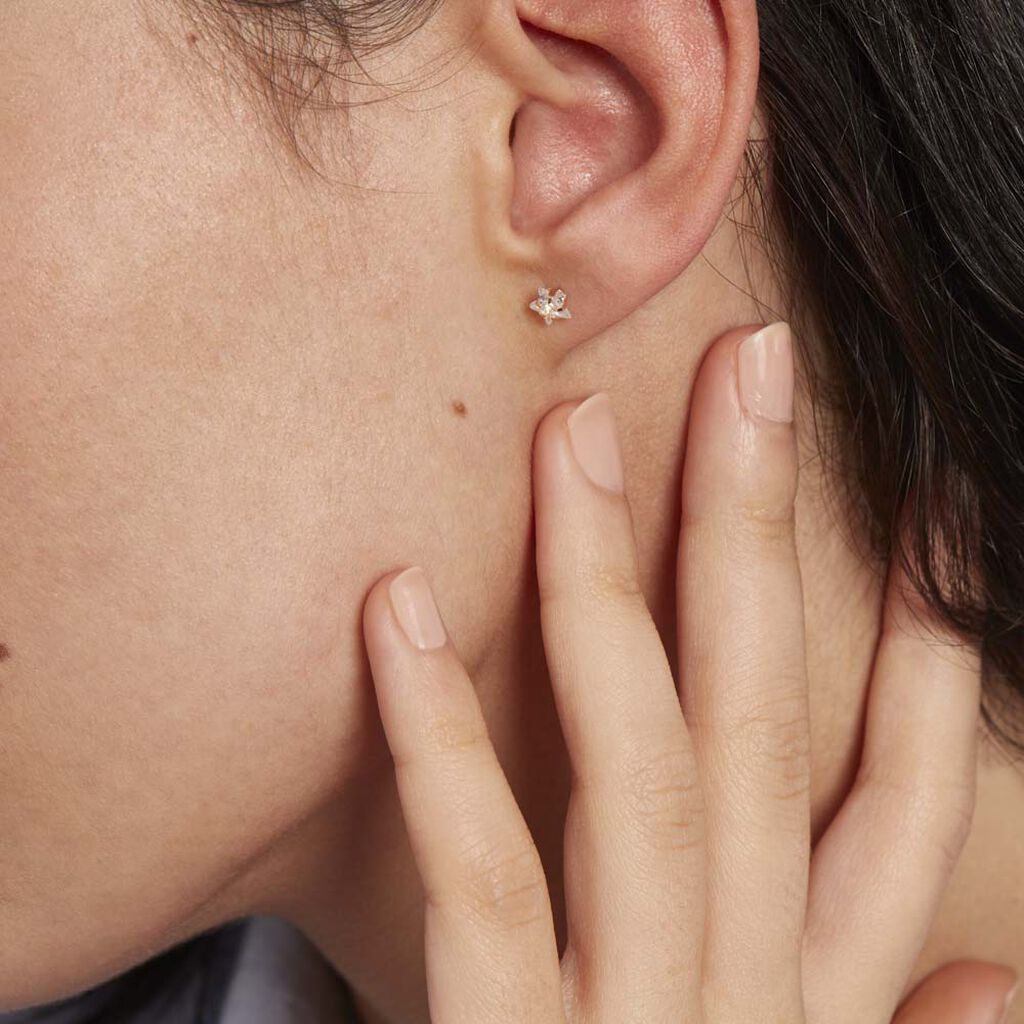Boucles D'oreilles Puces Elais Etoile Or Jaune Oxyde De Zirconium - Clous d'oreilles Femme | Histoire d’Or