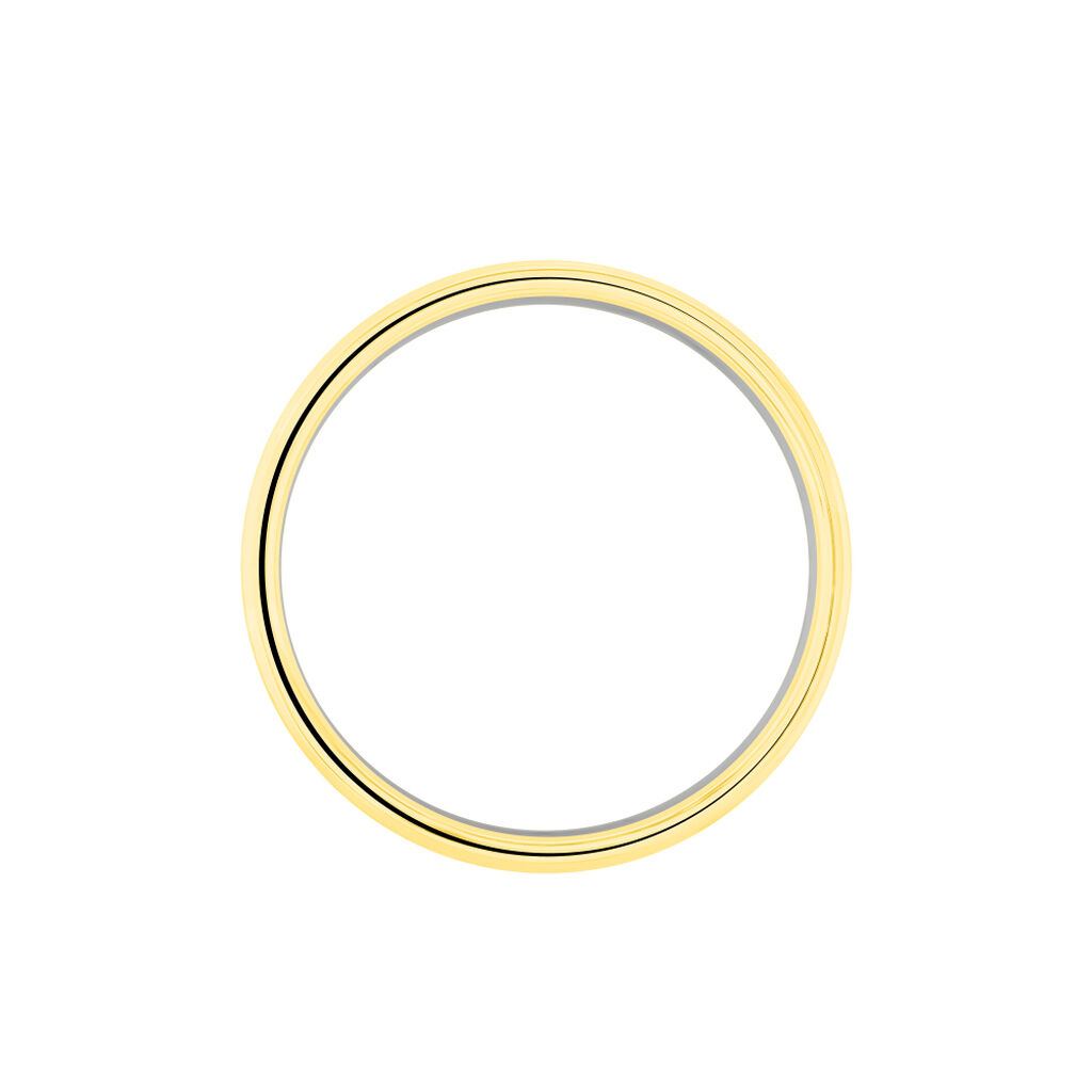 Alliance Viane Ruban Plat Or Bicolore - Alliances Famille | Histoire d’Or
