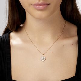 Collier Maria-carmen Plaqué Or Jaune Oxyde De Zirconium - Colliers Etoile Femme | Histoire d’Or