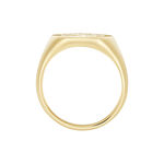 Chevali&egrave;re Gautier Plaqu&eacute; Or - Chevali&egrave;res Homme | Histoire d&rsquo;Or