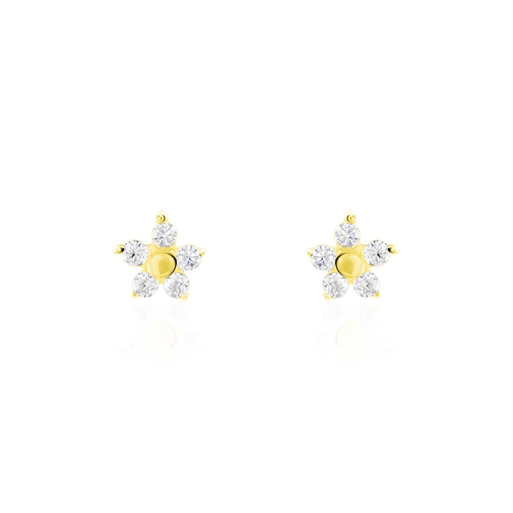 Boucles D'oreilles Puces Or Jaune Convallaria Oxydes - Clous d'oreilles Femme | Histoire d’Or