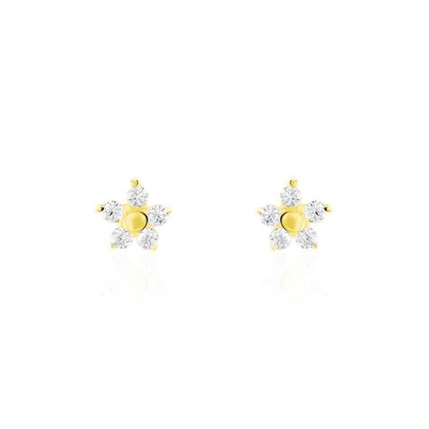 Boucles D'oreilles Puces Or Jaune Convallaria Oxydes - Clous d'oreilles Femme | Histoire d’Or