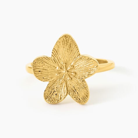 Bague Barbade Acier Jaune - Bagues fantaisie Femme | Histoire d&rsquo;Or