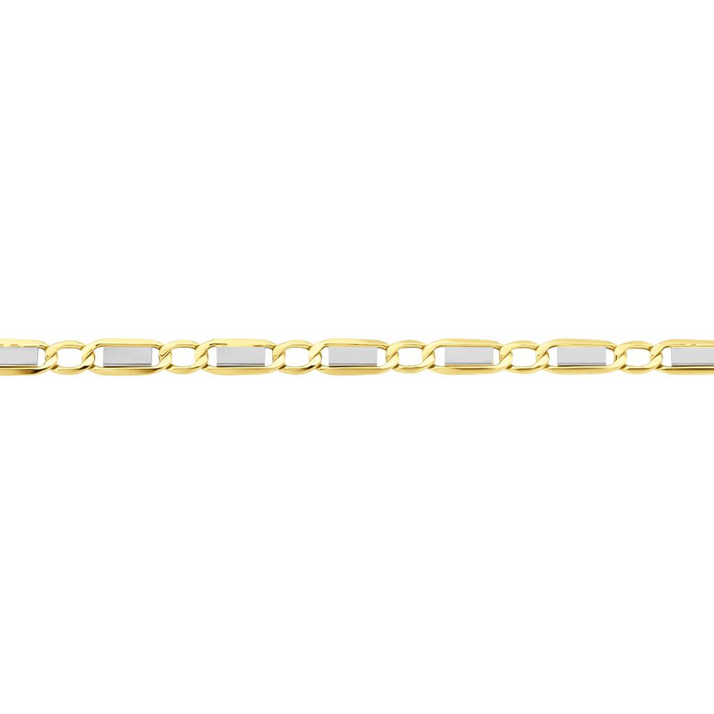 Collier Danae Maille Plaquette Alternée 1/1 Or Bicolore